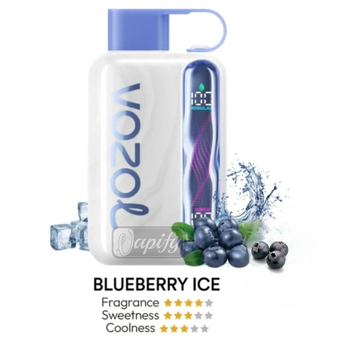Blueberry Ice - Vozol Star 40000 Puffs Disposable Vape Dual Mode in Dubai, UAE