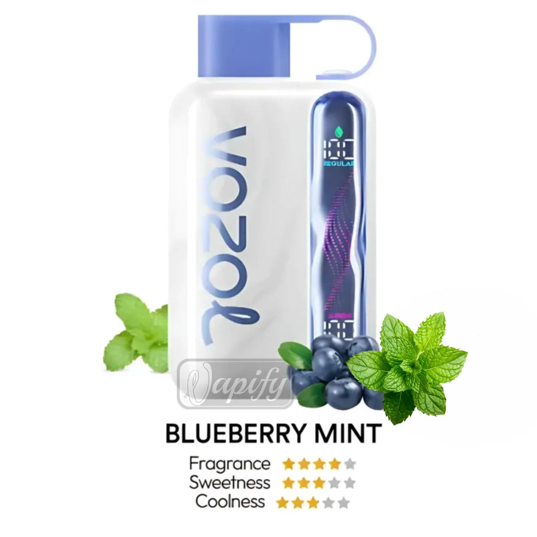 Blueberry Mint - Vozol Star 40000 Puffs Disposable Vape Dual Mode in Dubai, UAE