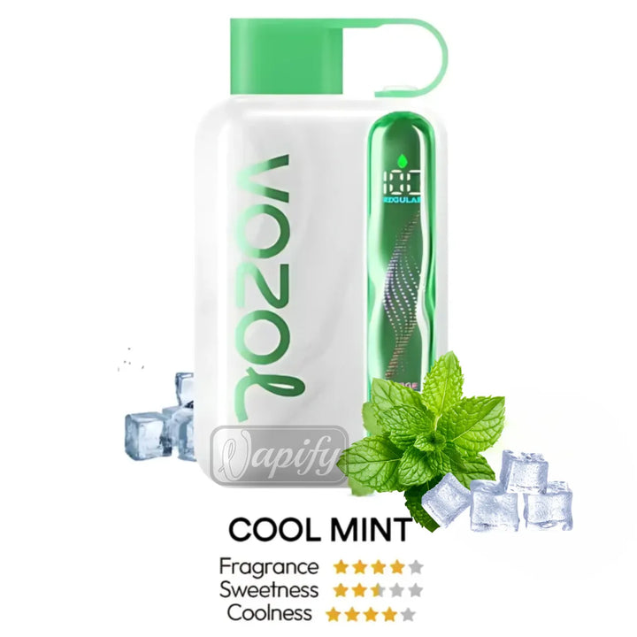 Cool Mint - Vozol Star 40000 Puffs Disposable Vape Dual Mode in Dubai, UAE