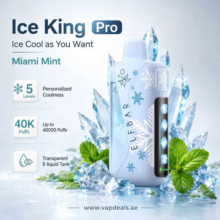 Elfbar Ice King miami mint 