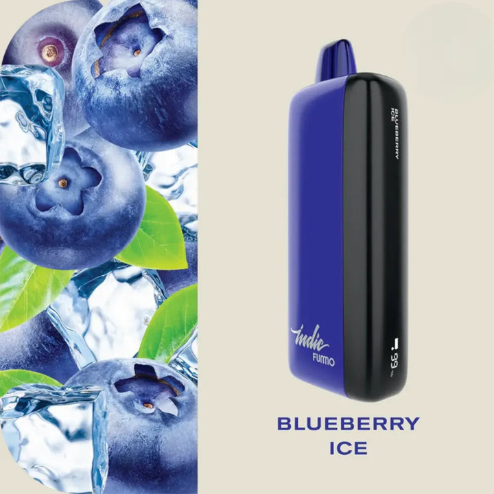 FUMMO Indic 12000 Puffs Blueberry Ice Disposable Vape 20mg in Dubai, UAE