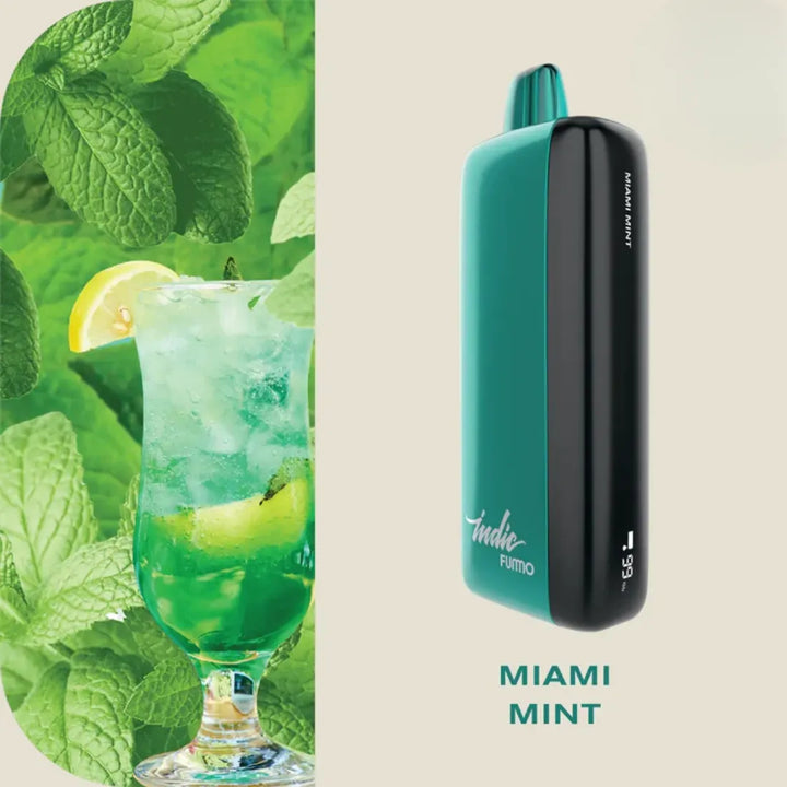 FUMMO Indic 12000 Puffs Miami Mint Disposable Vape 20mg in Dubai, UAE