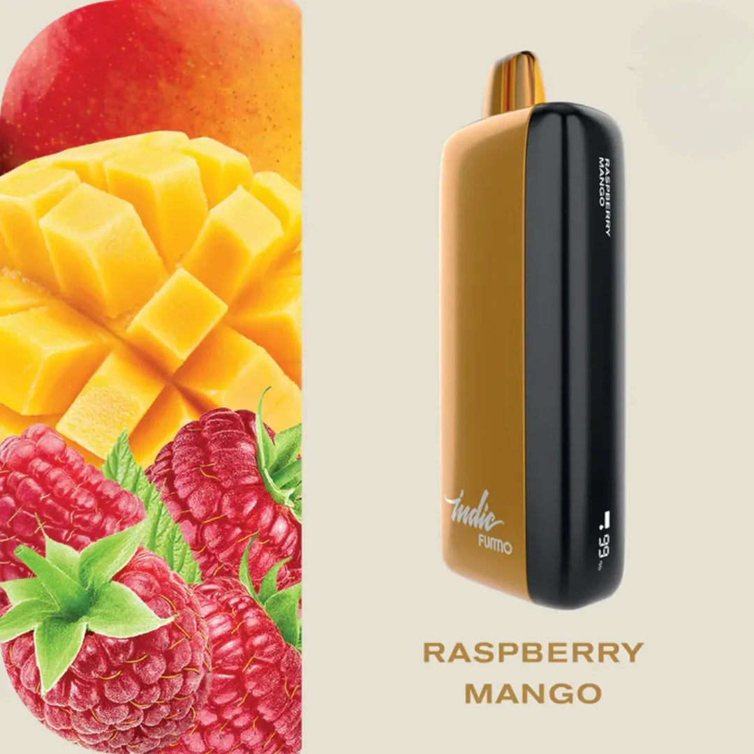 FUMMO Indic 12000 Puffs Raspberry Mango Disposable Vape 20mg in Dubai, UAE