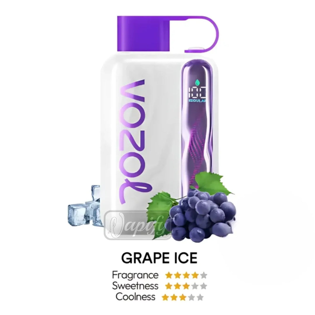 Grape Ice - Vozol Star 40000 Puffs Disposable Vape Dual Mode in Dubai, UAE