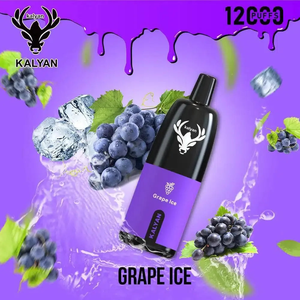 Kalyan12000Puffs-GrapeIce price
