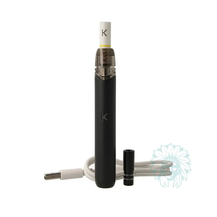 Iron Gate - Kiwi Pen 1 Device Kit in Dubai, UAE 