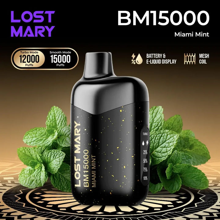 Lost Mary BM15000 Puffs Miami Mint Disposable Vape 50mg in Dubai, UAE
