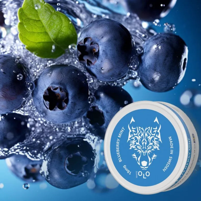 Blueberry Mint - White OLO Nicotine Pouches in Dubai, UAE 