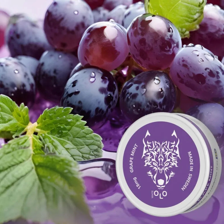 Grape Mint - White OLO Nicotine Pouches in Dubai, UAE 