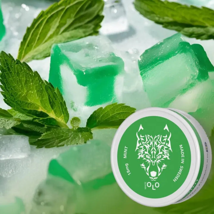 Mint - White OLO Nicotine Pouches in Dubai, UAE 