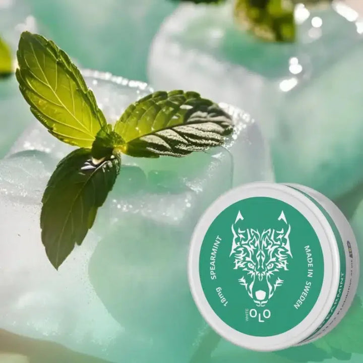 Spearmint - White OLO Nicotine Pouches in Dubai, UAE 