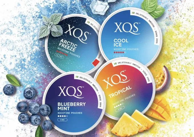 xqs_punch_price_Blueberry_Mint_in_dubai
