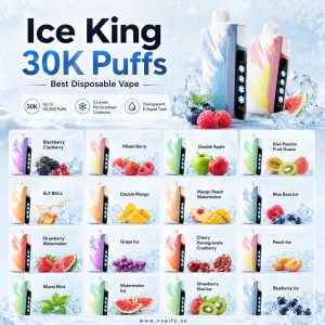 Elf Bar 30K Puffs Ice King