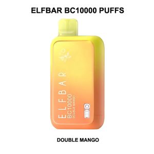Elf Bar Double_Mango