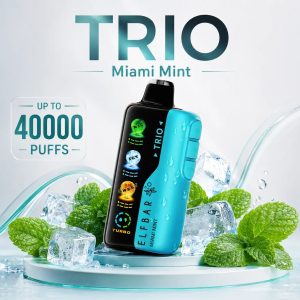 Elf Bar Trio miami mint