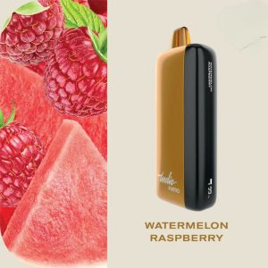 FUMMO Indic 12000 Puffs Watermelon Raspberry Disposable Vape 20mg in Dubai, UAE