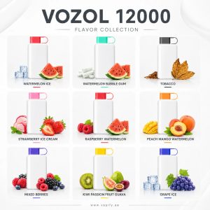 Vozol Star Disposable Vape